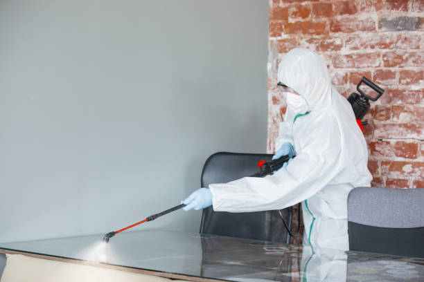 Biohazard Mold Removal in Highland Park, MI